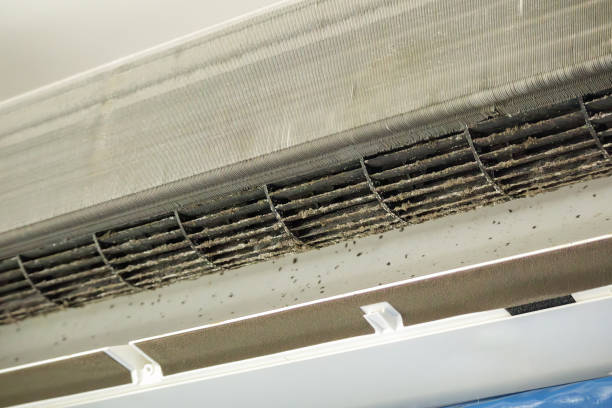 Best Duct Cleaning Specialists  in Dortches, NC