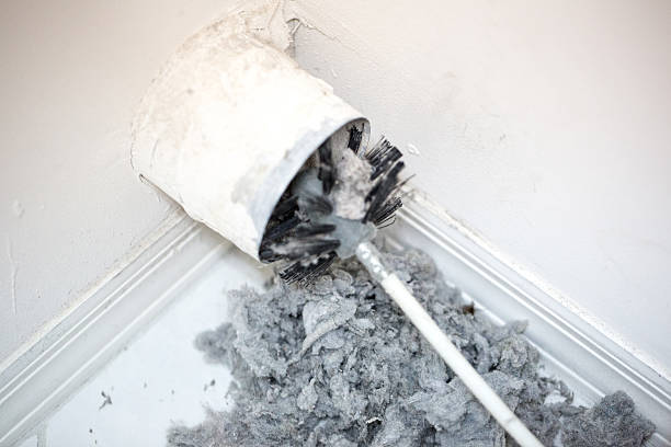 Best Affordable Duct Cleaning Services  in Dortches, NC